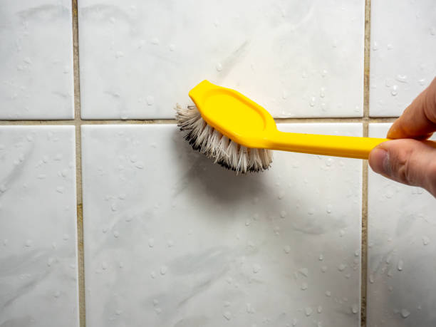 Reliable Tifton, GA Mold Removal Solutions