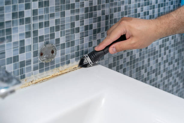 Best Mold Removal Process  in Tifton, GA